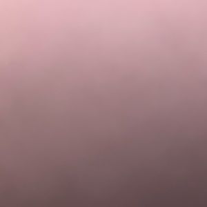 Meet your Posher, Mildred